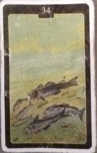 Scarabeo Lenormand Fish Card