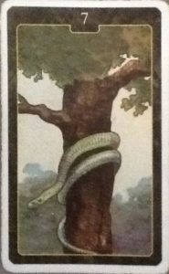 Scarabeo Lenormand Snake Card