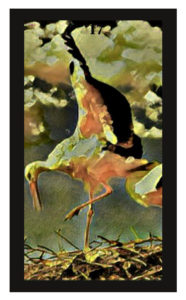 Lenormand Storks Card